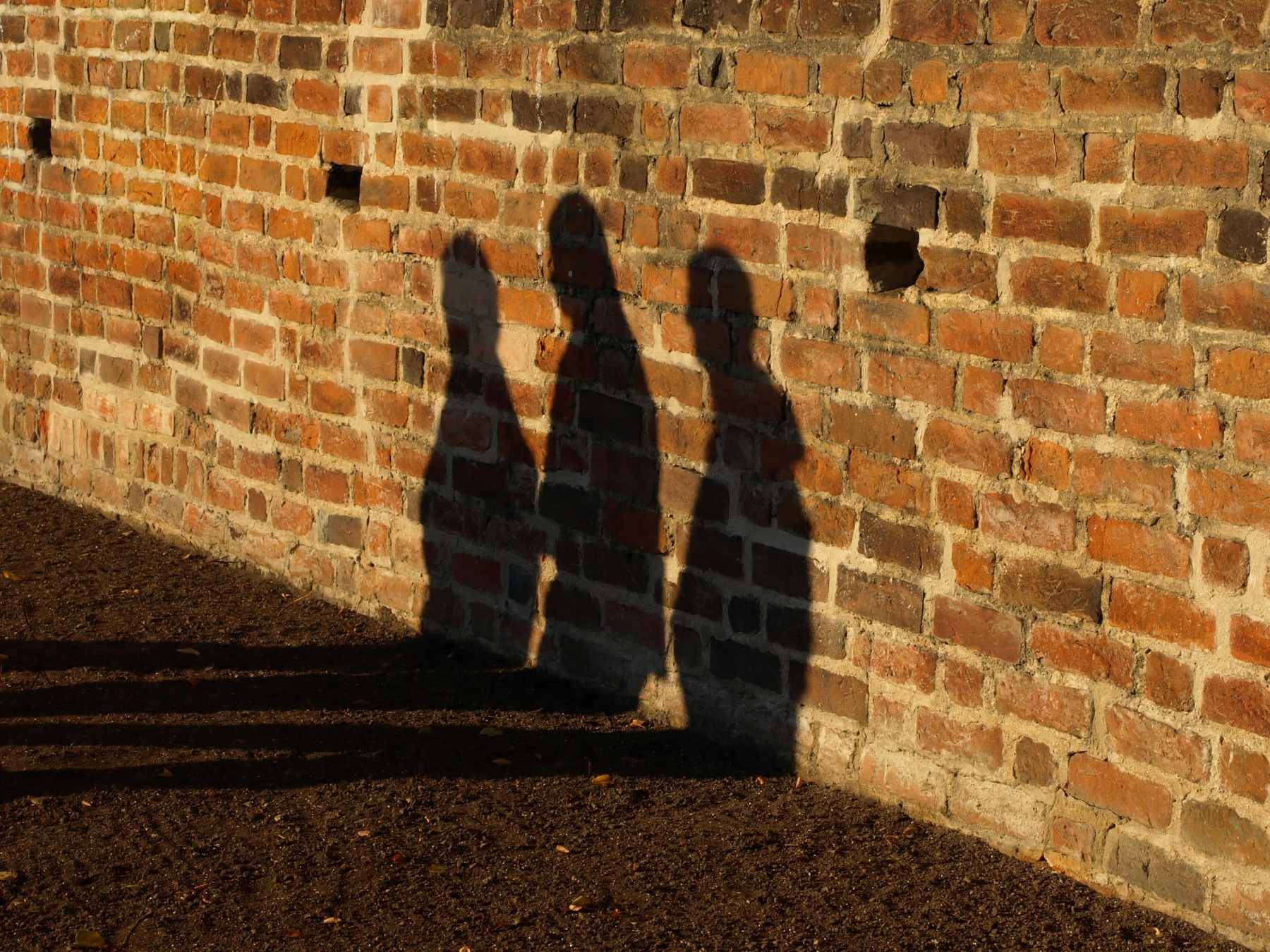 shadows-on-the-wall-1172118 Dream of Owning Home Dying for ‘Lost Generation’